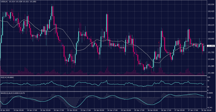 US Dollar Chart for 30 Jan 2023